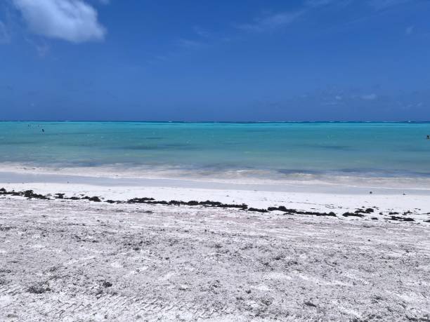 istock Hyatt Zilara Cap Cana 2166653070