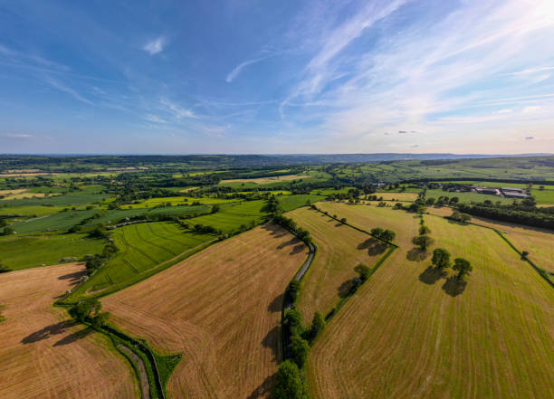 istock Aerial view of a lush countryside with patchwork fields under a blue sky 2166655128