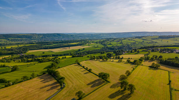 istock Aerial view of lush green countryside with patchwork fields under a clear blue sky. 2166655203
