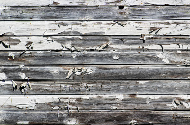 Rustic farmhouse wood wall with white paint peeling off background
