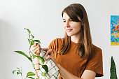 young-woman-cleaning-houseplant-leaves-w