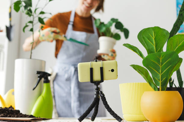 Gardener recording video using smartphone on tripod surrounded by plants selective focus