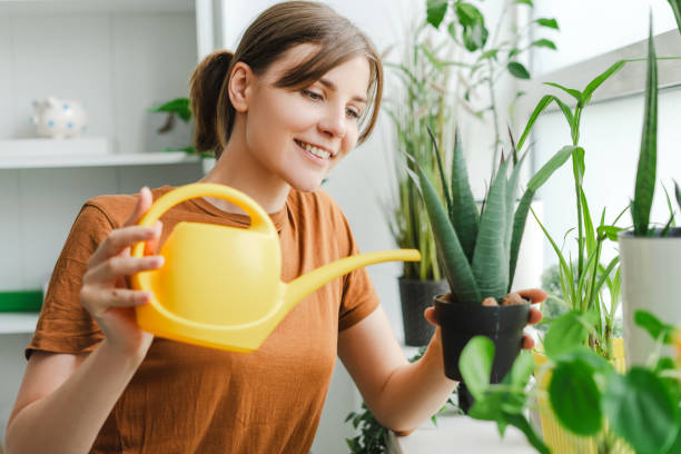 istock Woman is watering plants at home using yellow watering can 2166658012