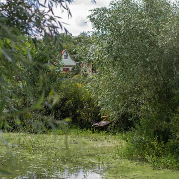 istock Rural landscape with a house near a pond 2166660332