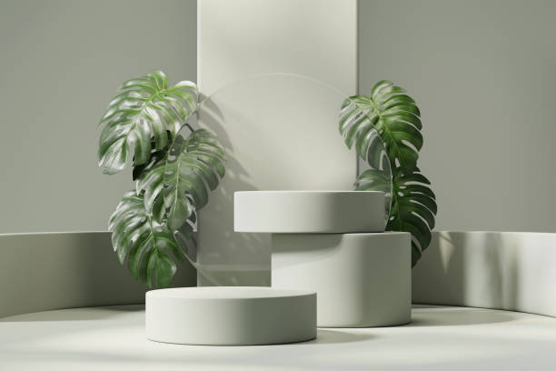 istock 3D rendering abstract platform podium with monstera plant product presentation background 2166660446