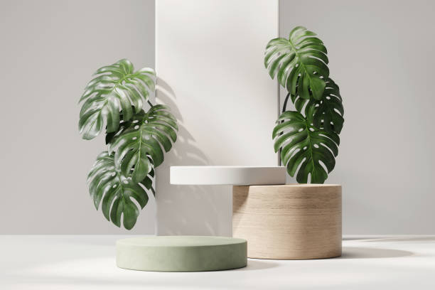 istock 3D rendering abstract platform podium with monstera plant product presentation background 2166660451