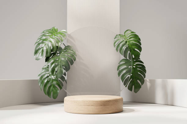 istock 3D rendering abstract platform podium with monstera plant product presentation background 2166660461