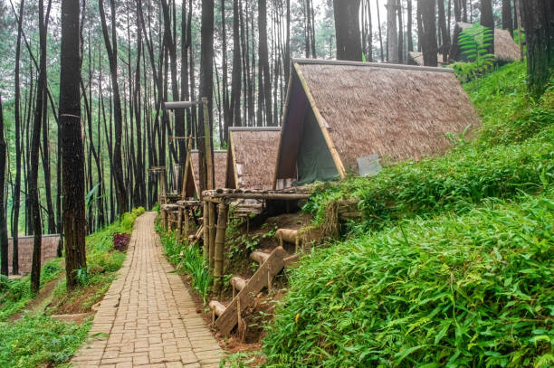 istock Rustic glamping tents nestled amidst a towering pine forest, offering a unique and unforgettable outdoor experience. 2166667593
