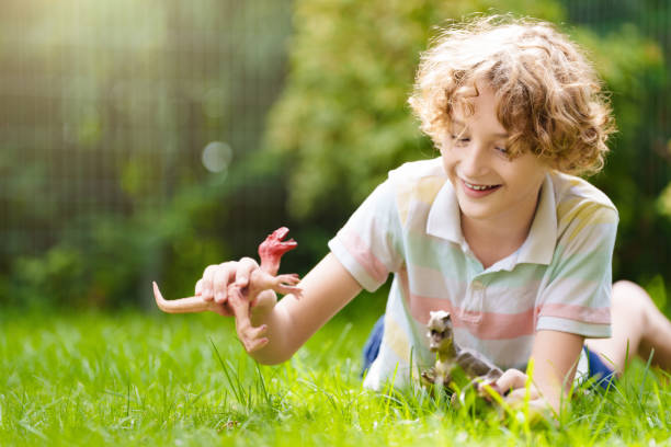istock Child playing with dinosaur toy in sunny garden 2166668385