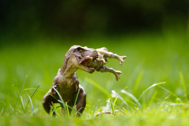 A large, realistic-looking statue of a Tyrannosaurus Rex dinosaur with its mouth open and teeth exposed, standing in an outdoor setting under a cloudy sky.