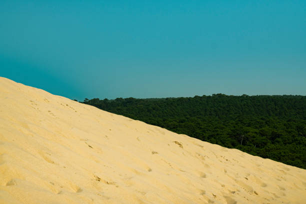 Picture of The great Dune of Pilat, the highest European dune. It's located in south-west France.