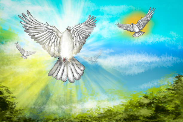istock White dove flying in colorful sky representing hope and peace 2166671964