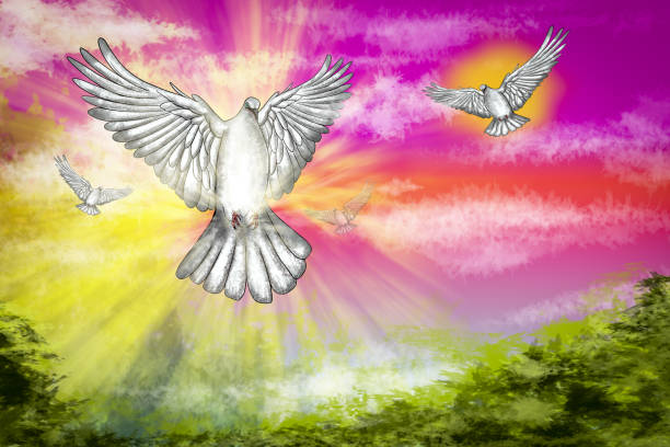 istock White dove flying in colorful sky representing hope and peace 2166671965