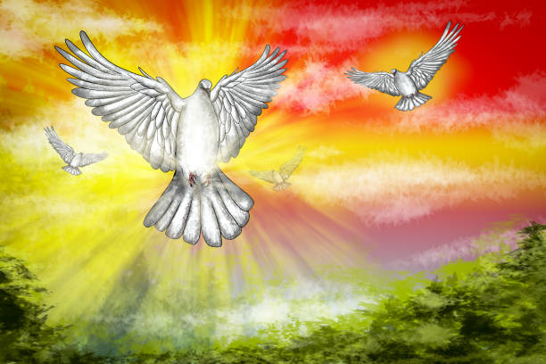 istock White dove flying in colorful sky representing hope and peace 2166671972