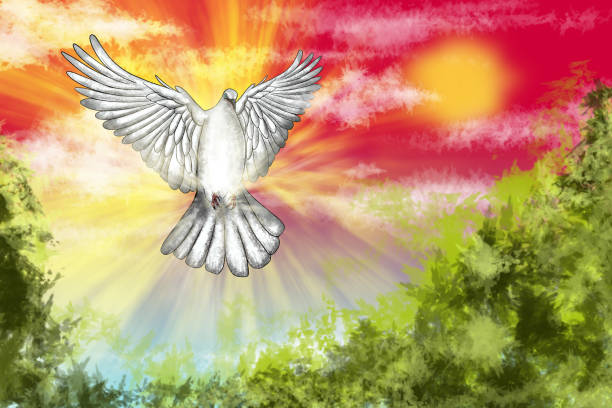istock White dove flying in sunny sky symbolizing hope and peace 2166671975