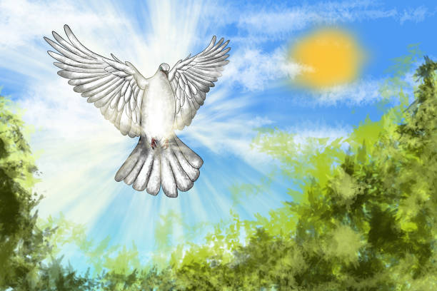 istock White dove flying in sunny sky symbolizing hope and peace 2166671977