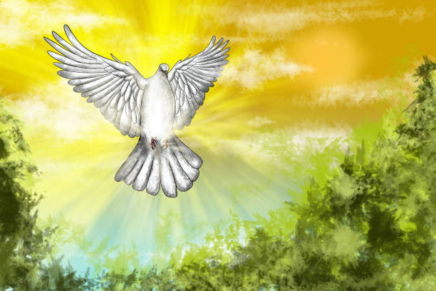 istock White dove flying in sunny sky symbolizing hope and peace 2166671978