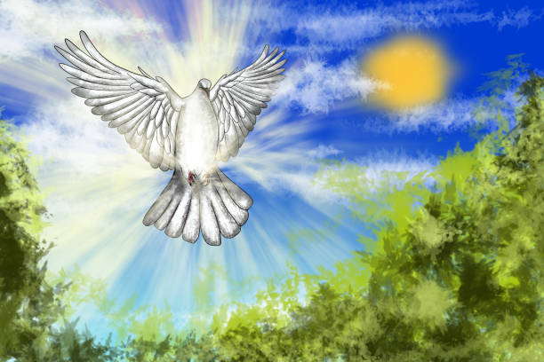 istock White dove flying in sunny sky symbolizing hope and peace 2166671980