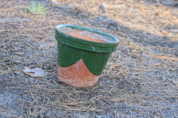 istock one ceramic green brown flowerpot 2166673369