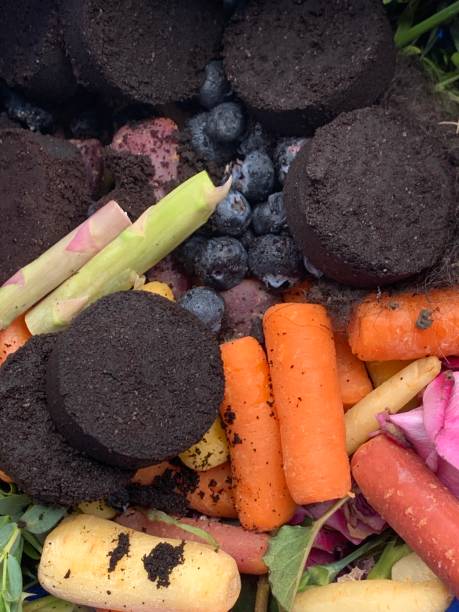 istock Food Scraps 2166673391