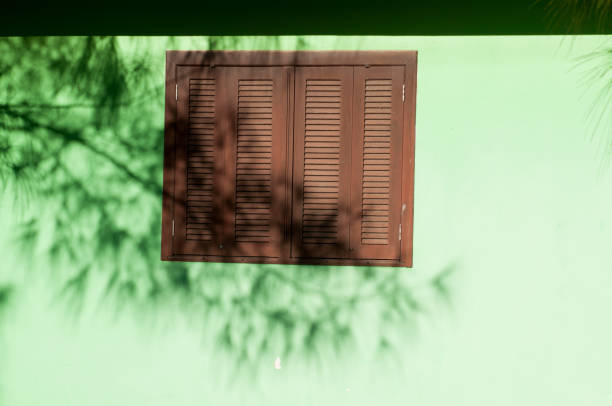 Wooden window with shadow of tree on green wall. Toned.