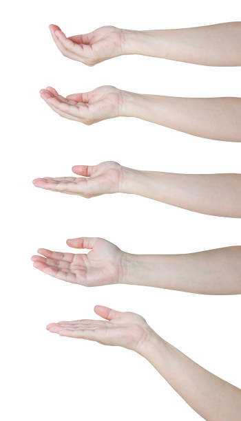 istock Woman hand gesture holding something set isolated on white background 2166675359