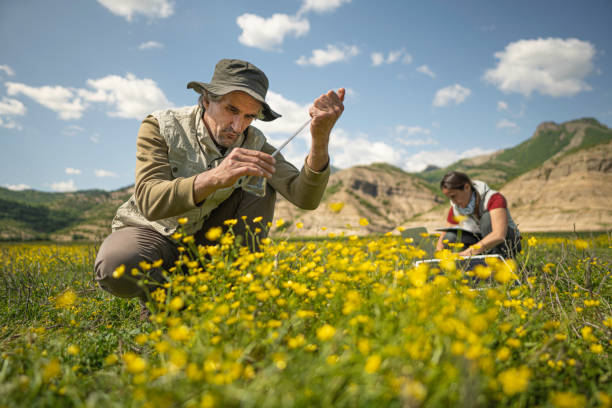 istock Ecology Fieldwork in Nature. Sustainability practices. 2166675516