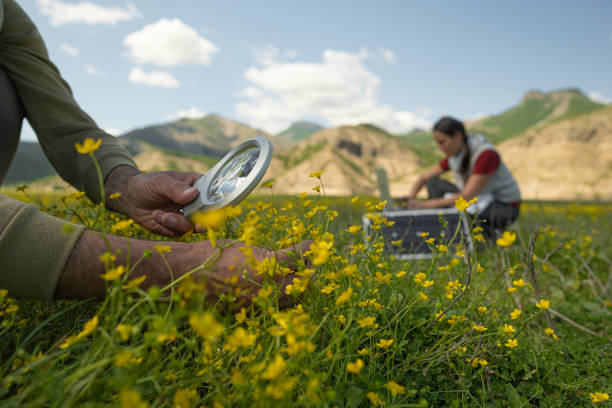 istock Ecology Fieldwork in Nature. Sustainability practices. 2166675524