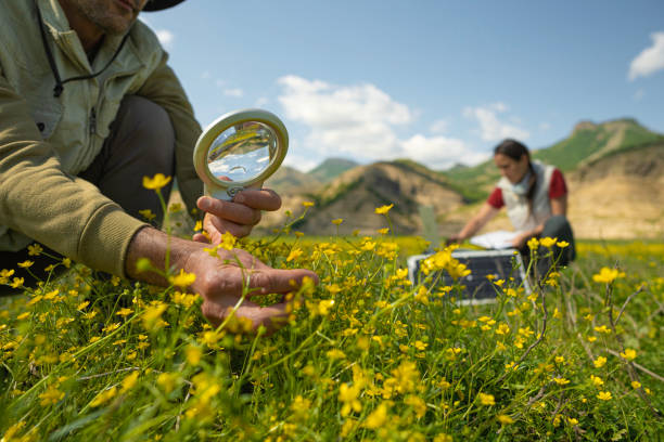 istock AI & Solar Energy in Ecology Fieldwork. Sustainability. 2166675566