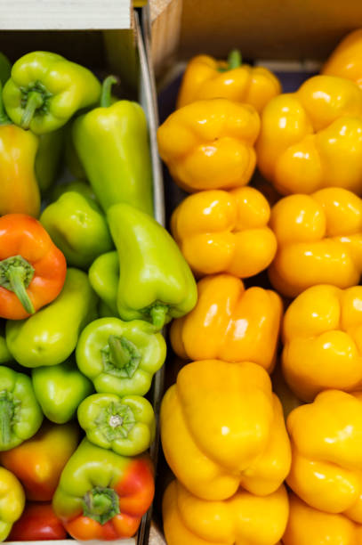 A lot of fresh organic bell peppers on market stall or in groceries shop area. Sweet pepper background