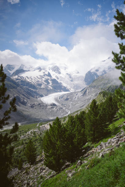istock Scenic view of mountain meadow in summer 2166676175