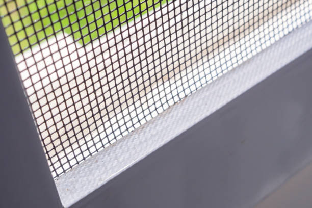 istock mosquito net wire screen on house window protection against insect 2166676181