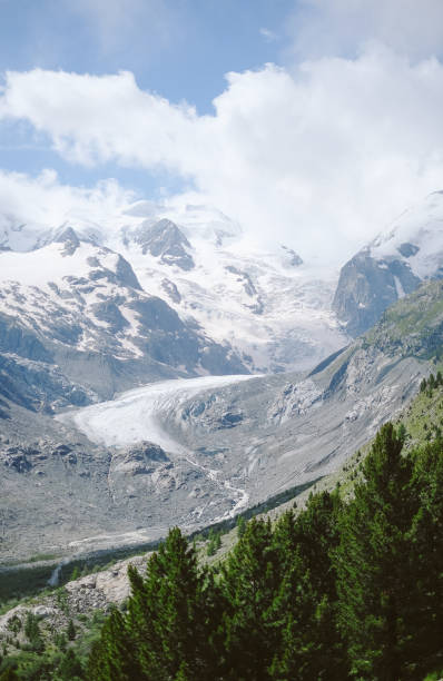 istock Scenic view of mountain meadow in summer 2166676488
