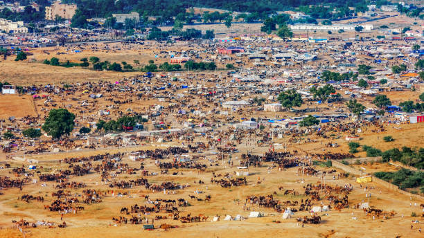 istock Pushkar Fair, top view. Pushkar, Rajasthan, India. 2166676642