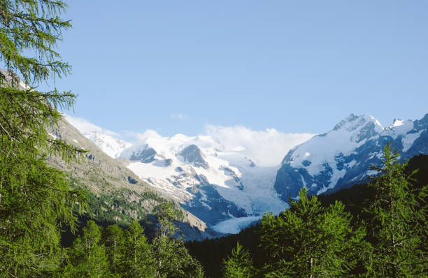 istock Scenic view of mountain meadow in summer 2166676768