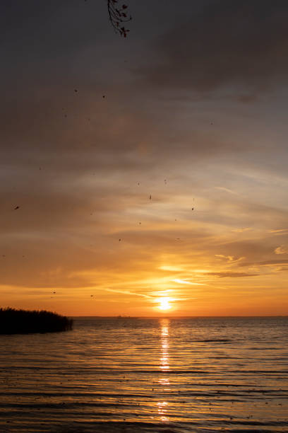 Orange color seascape during sunset in SiestaKey, Sarasota, Florida