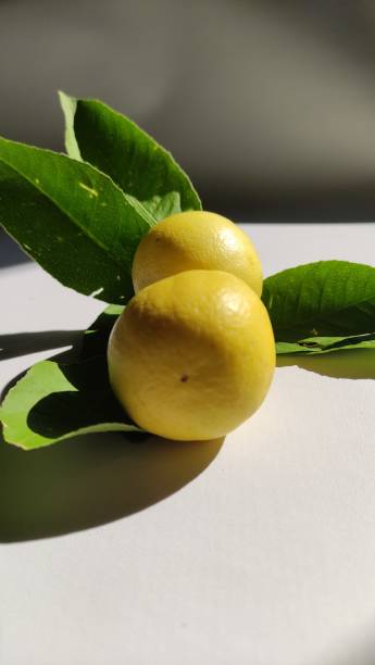 istock close-up of a bright yellow fresh lemon on a white background 2166685019