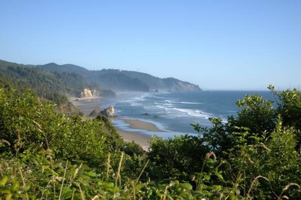 istock View of the beach from a high vantage point through lush foliage 2166686794