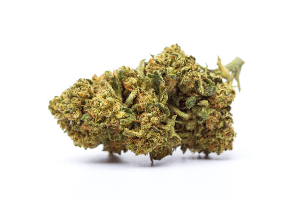 istock Marijuana flower isolated on white background 2166688037