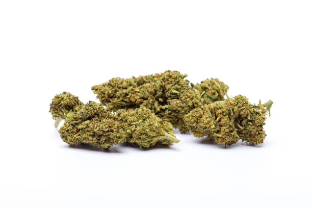 istock Marijuana flowers isolated on white background 2166688038