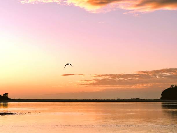 istock Golden Coastal Sunrise 2166692799