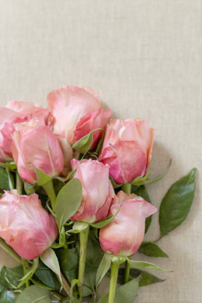 Delicate pink rose bouquet in a terracotta pot on a wooden table for Mother's Day