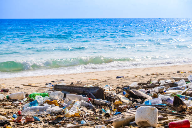 istock trash, plastic cups and plastic bags at the beach. environmental problem concept and healing the world 2166694844