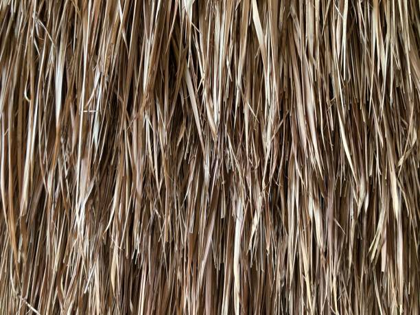 istock dried brown straws sewn together to make a wall 2166695220