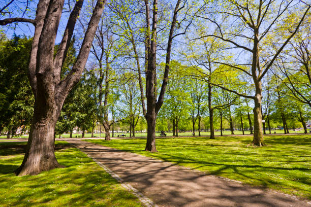 istock Central park ih Bonn city, Germany. 2166696537