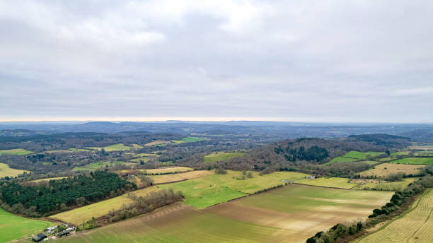 Aerial view of a lush countryside with patchwork fields and scattered trees under a cloudy sky.