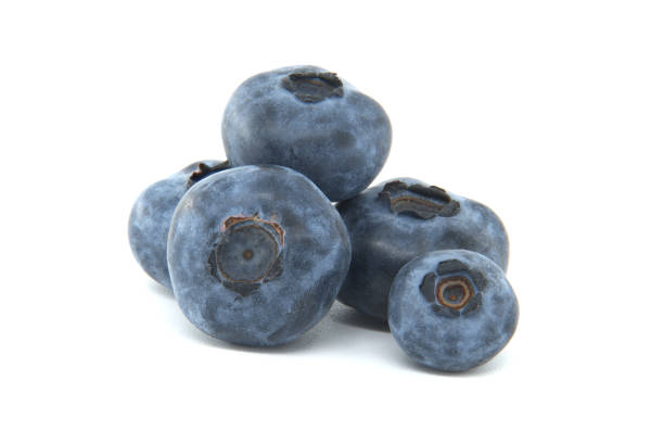 Fresh Blueberry