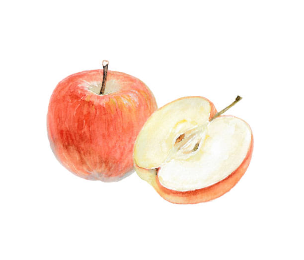 istock Illustration of an apple painted with watercolors 2166699881