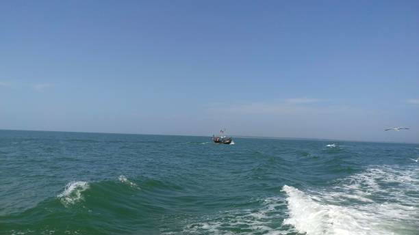 istock A little boat on floating in the ocean while sea gull flying 2166700627
