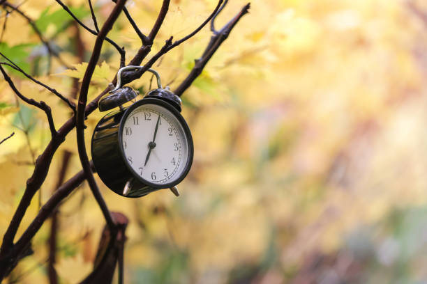 autumn time or fall time concept. vintage alarm clock black color in the autumn background. - 早朝覚醒 ストックフォトと画像